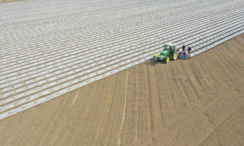 Farmers cover field with plastic films in Yuli County, northwest China's Xinjiang Uygur Autonomous Region, March 28, 2021. Photo: Xinhua