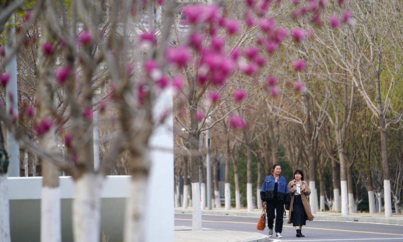 Photo taken on March 30, 2021 shows the view near Xiongan citizen service center in Xiongan New Area, north China's Hebei Province. Photo: Xinhua