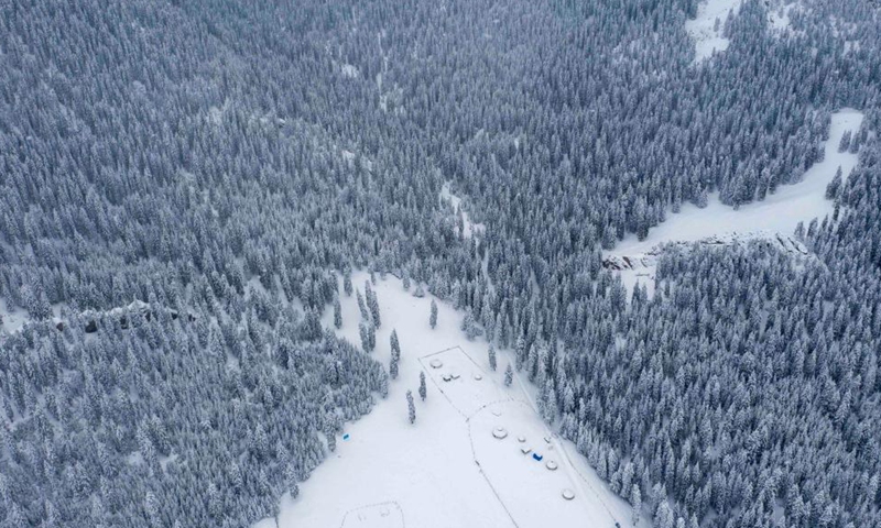 Aerial photo shows the snow-covered forest of Tianshan Mountains in Shawan City, northwest China's Xinjiang Uygur Autonomous Region, March 30, 2021.  Photo: Xinhua