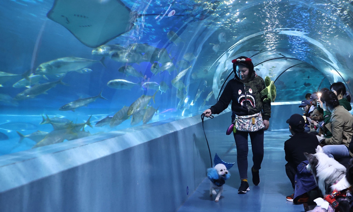 A woman walks her dog at an animal show in an aquarium in Nanjing, East China's Jiangsu Province. Photo: IC