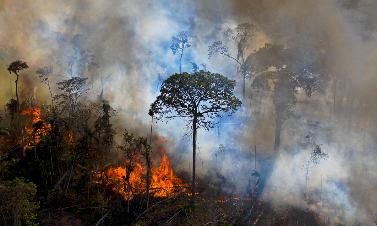 Photo of Prudký nárast odlesňovania v roku 2020