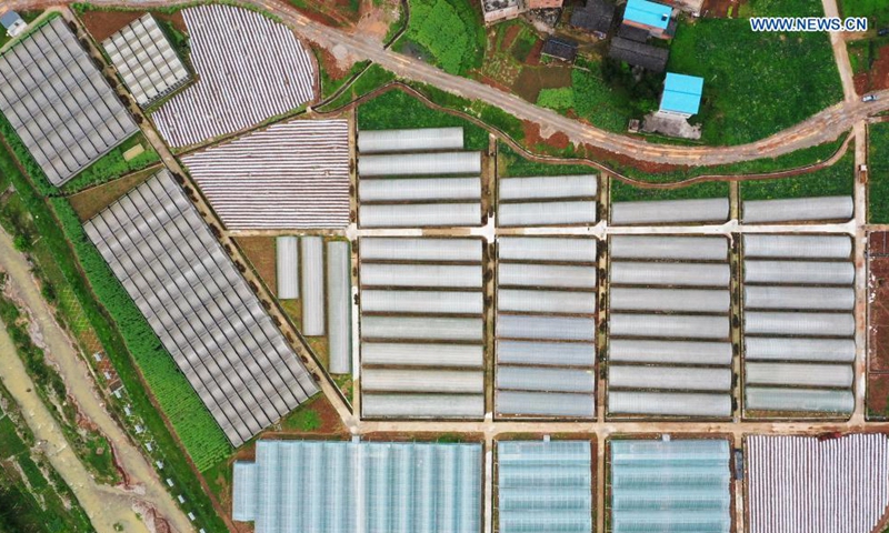 Aerial photo taken on March 31, 2021 shows a vegetable greenhouse base in Anping Town of Fengjie County, southwest China's Chongqing. By improving infrastructure, developing electric commerce and setting up industrial park for people returning to hometown, Fengjie County has found ways to boost local development.  Photo: Xinhua
