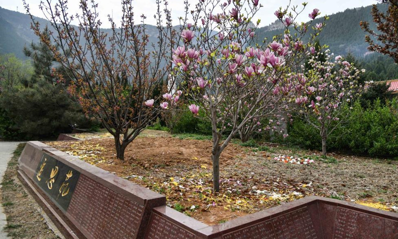 A flowerbed with cremains buried beneath is seen in Yuhanshan Cemetery in Jinan, east China's Shandong Province, April 1, 2021. The Tomb-sweeping Day, also known as Qingming Festival, which falls on April 4 this year, is a Chinese festival when people pay tribute to the dead and worship their ancestors by visiting tombs and making offerings. Photo: Xinhua