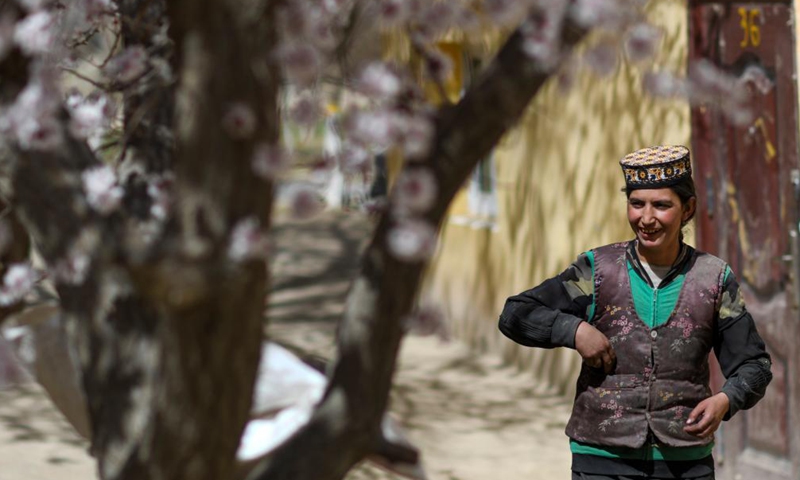 A villager has a rest under an apricot tree in Bageaigezi Village of Akto County, northwest China's Xinjiang Uygur Autonomous Region, March 31, 2021. Local farmers and herdsmen in the mountainous area of Pamirs have seen their life turning better with the development of tourism and the improvement of infrastructure. Photo: Xinhua