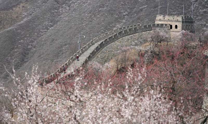 Photo taken on March 31, 2021 shows the spring scenery of the Mutianyu Great Wall in Beijing, capital of China.Photo:Xinhua