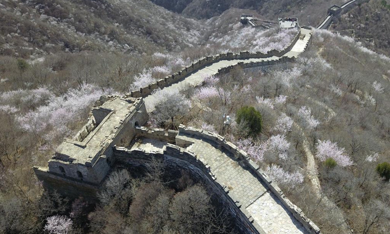 Aerial photo taken on March 31, 2021 shows the spring scenery of the Mutianyu Great Wall in Beijing, capital of China. Photo:Xinhua