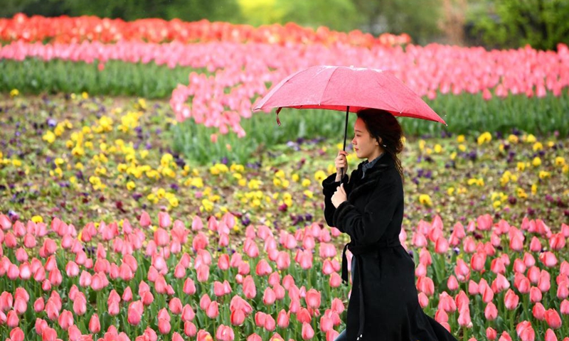 Tourists enjoy flowers at Xi'an Botanical Garden in Xi'an, northwest China's Shaanxi Province, April 1, 2021. The 29th spring flower show kicked off recently at Xi'an Botanical Garden. There are more than 30 kinds of tulips planted in the flower show with a total of 200,000 tulips planted in 3,000 square meters.Photo:Xinhua