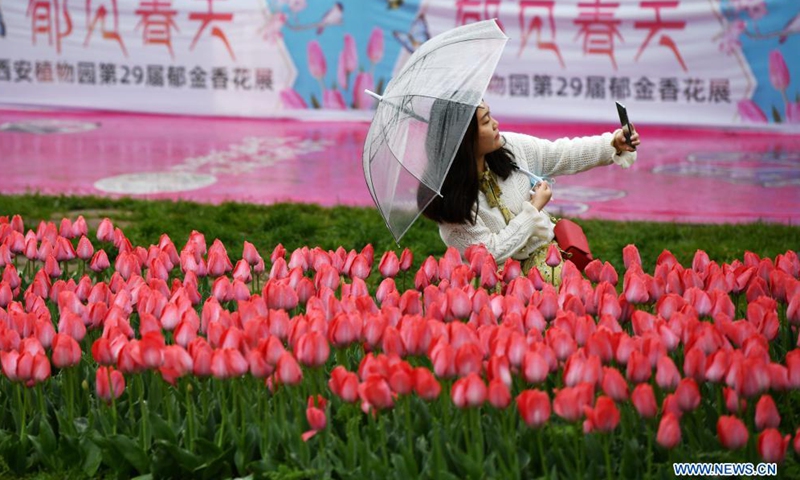 Tourists enjoy flowers at Xi'an Botanical Garden in Xi'an, northwest China's Shaanxi Province, April 1, 2021. The 29th spring flower show kicked off recently at Xi'an Botanical Garden. There are more than 30 kinds of tulips planted in the flower show with a total of 200,000 tulips planted in 3,000 square meters.Photo:Xinhua