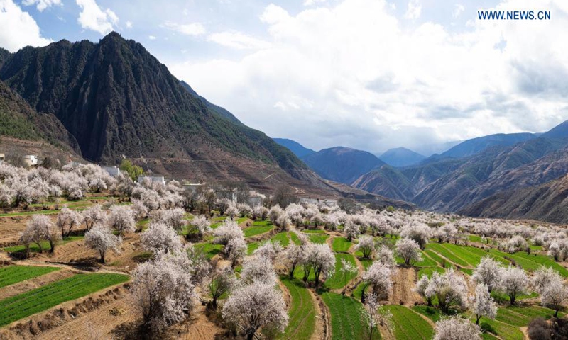 Photo taken on April 3, 2021 shows the scenery of Ridang Village of Baisong Town in Derong County, southwest China's Sichuan Province. Peach blossoms are in full bloom in Derong County. In recent years, the local government has taken advantage of the natural resources to develop rural tourism and helped increase villagers' income. (Photo:Xinhua)