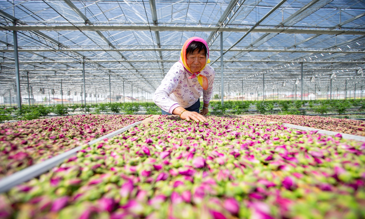 Rosy prospect Rosy prospect