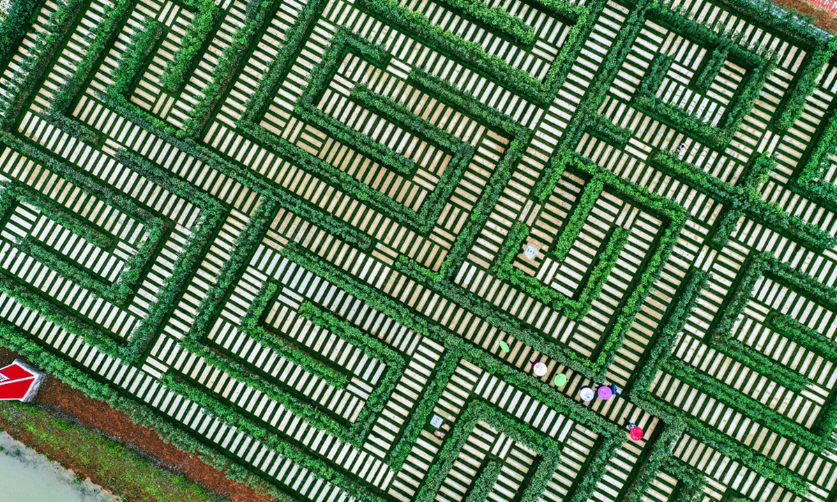 Can you find your way out of this 