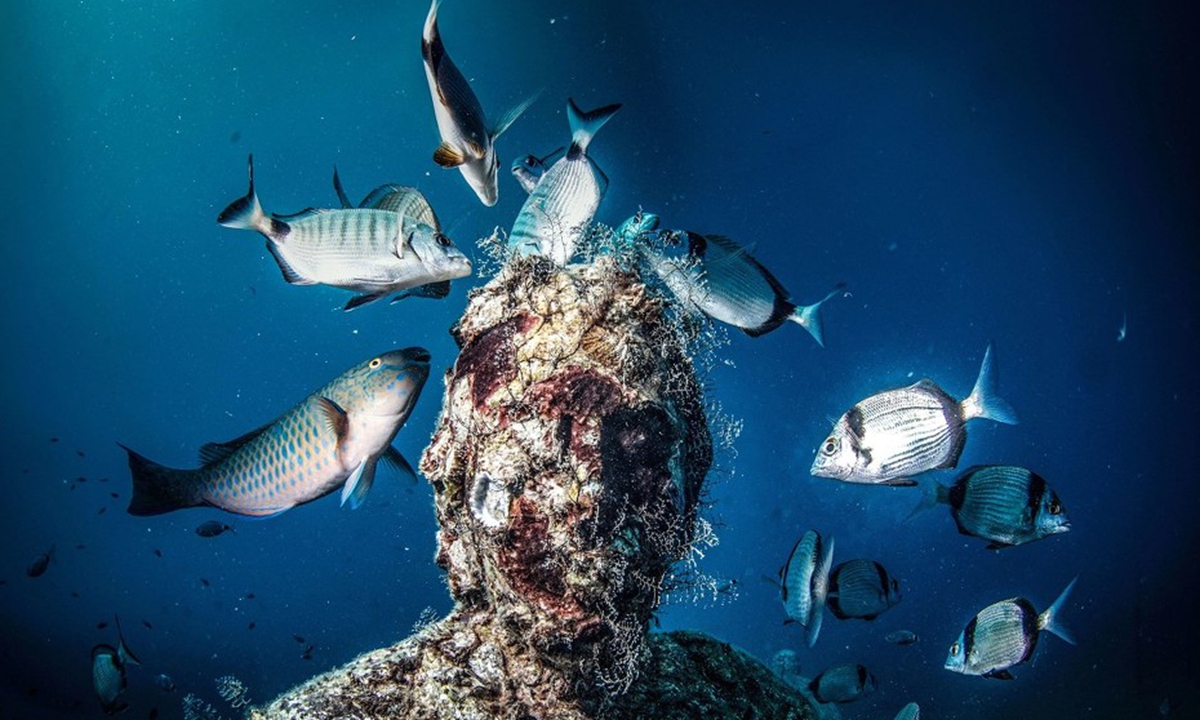 Fish swim around an underwater sculpture at the Side Underwater Museum in Turkey on November 4, 2019. Photo: IC