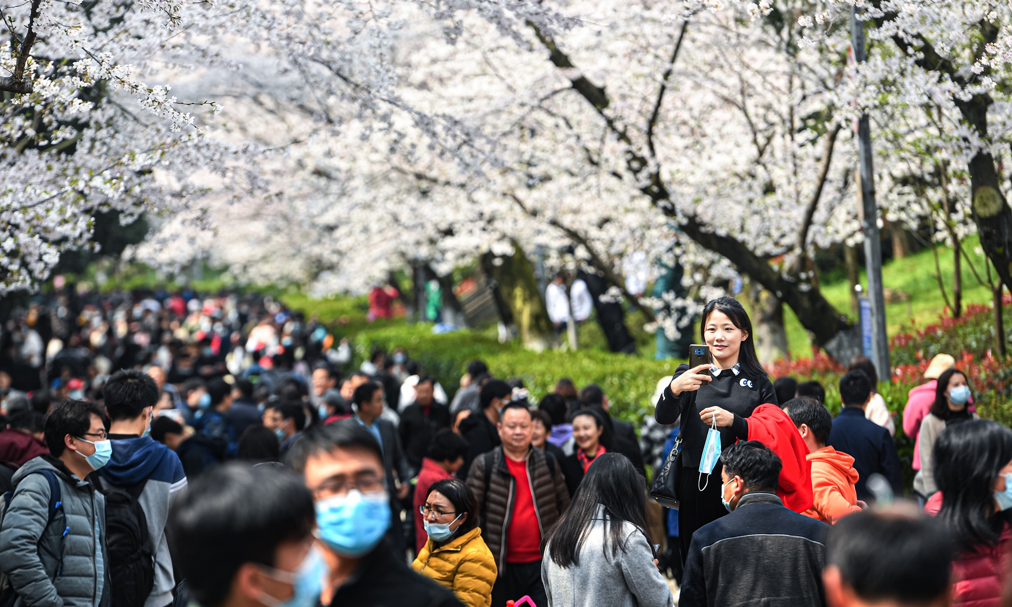 Medical workers who helped fight the COVID-19 in Wuhan last year and their families enjoy themselves on the cherry road in Wuhan University. The university is one of the best places in China to enjoy the flowers. Photo: VCG