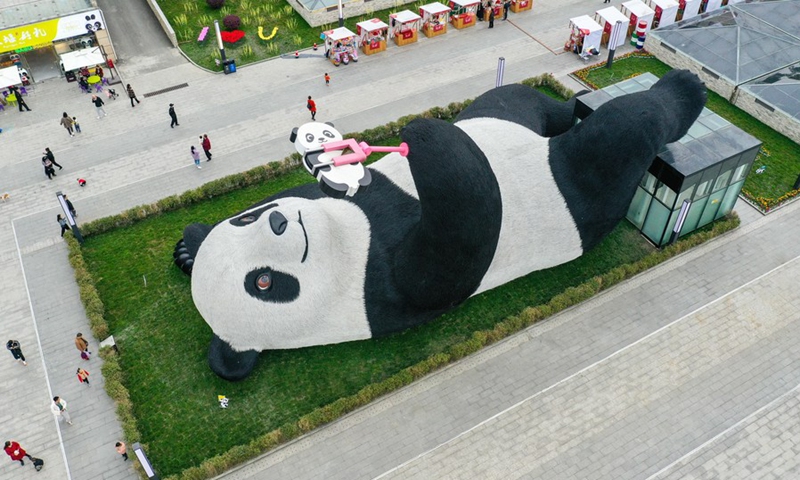 Aerial photo taken on April 7, 2021 shows the Selfie Panda sculpture on display at the Yangtianwo square in Dujiangyan, southwest China's Sichuan Province.(Photo: Xinhua)