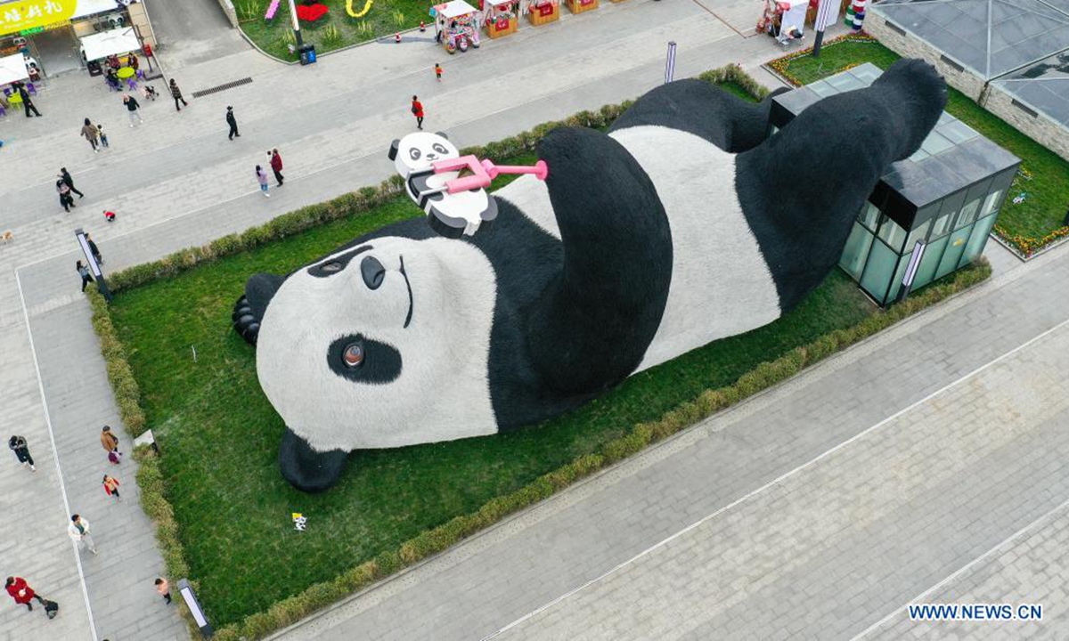 Aerial photo taken on April 7, 2021 shows the Selfie Panda sculpture on display at Yangtianwo square in Dujiangyan, southwest China's Sichuan Province.(Xinhua/Wang Xi)