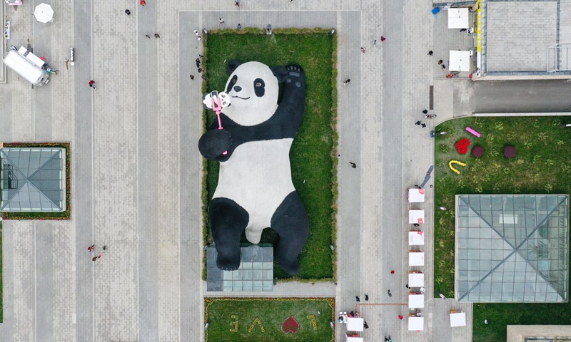 Aerial photo taken on April 7, 2021 shows the Selfie Panda sculpture on display at the Yangtianwo square in Dujiangyan, southwest China's Sichuan Province.(Photo: Xinhua)