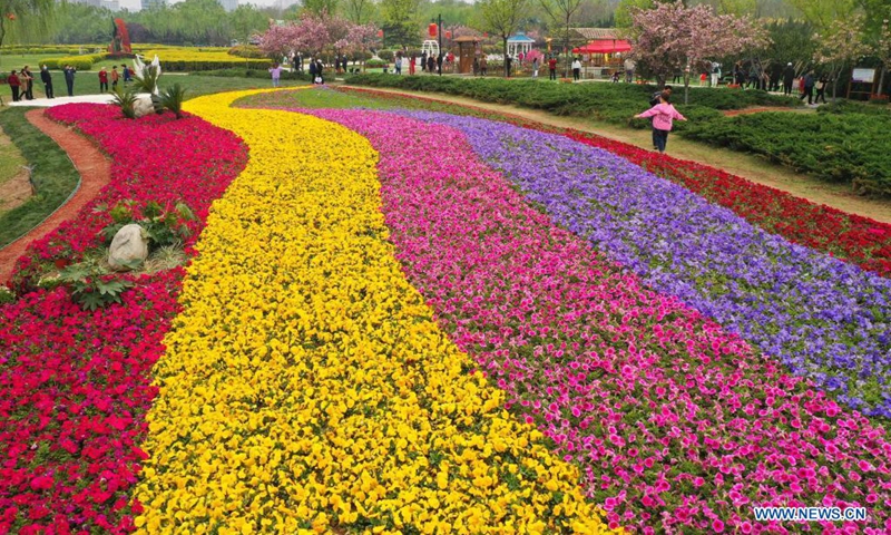 Tourists enjoy flowers in Xianyang Lake scenic area in Xianyang, northwest China's Shaanxi Province, April 7, 2021.(Photo: Xinhua)