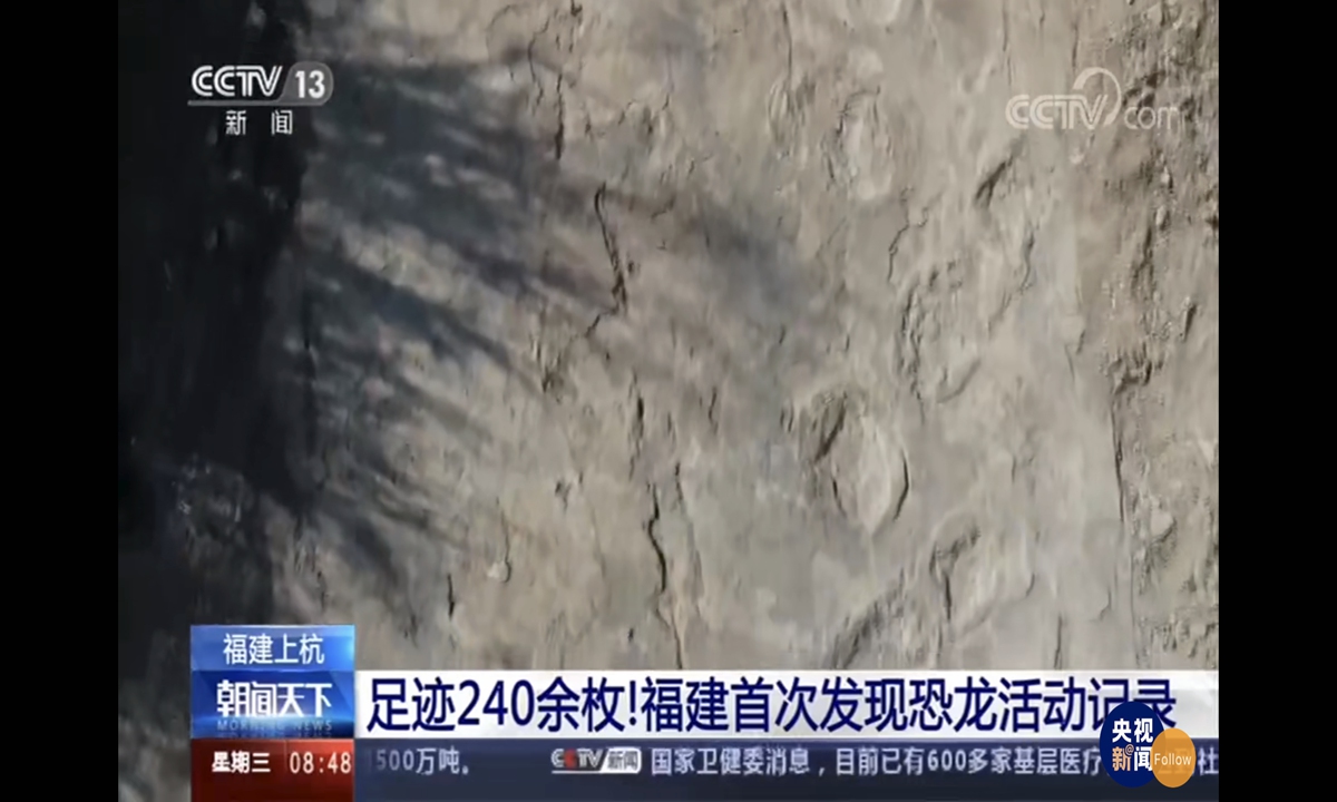 Some 200 dinosaur footprints from the Late Cretaceous period have been discovered in an area measuring less than 100 square meters in a village in East China's Fujian Province, which the local team of scientists has termed 