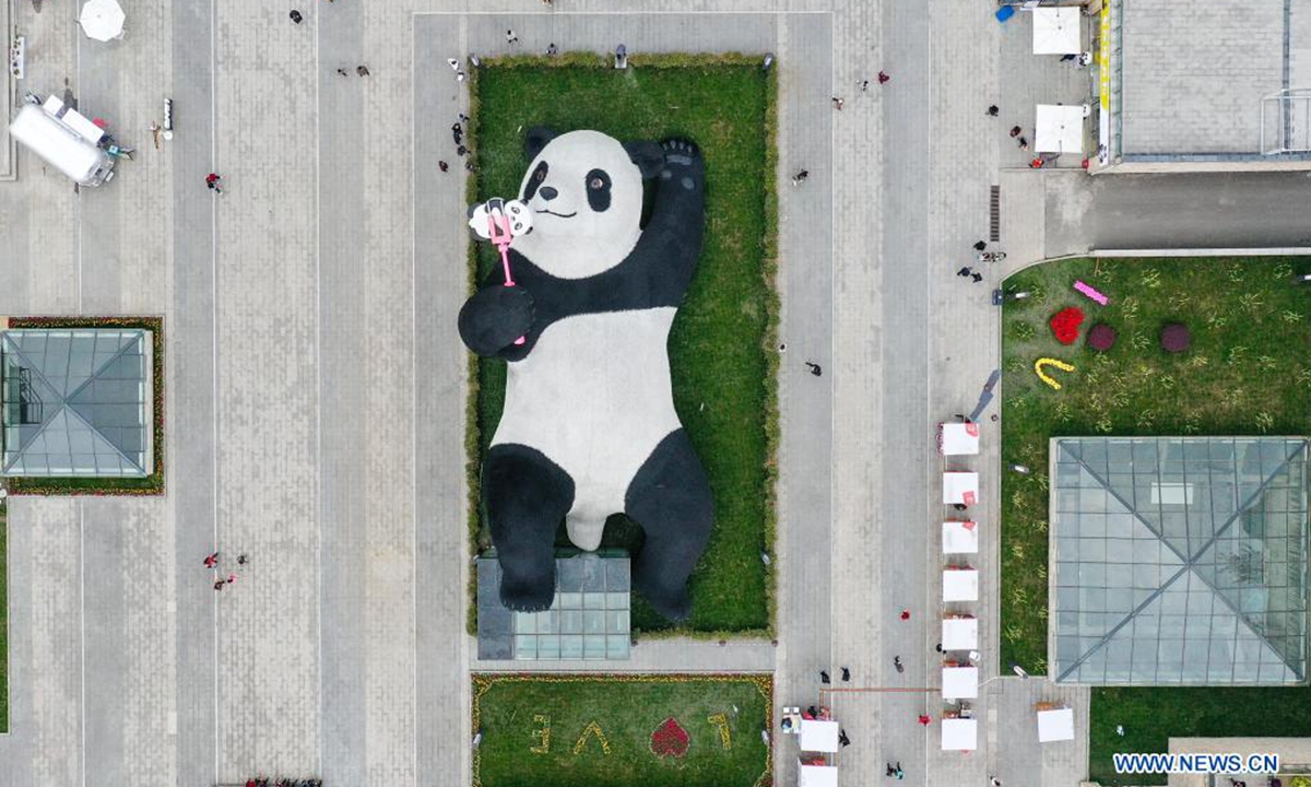 Aerial photo taken on April 7, 2021 shows the Selfie Panda sculpture on display at Yangtianwo square in Dujiangyan, southwest China's Sichuan Province.(Xinhua/Wang Xi)