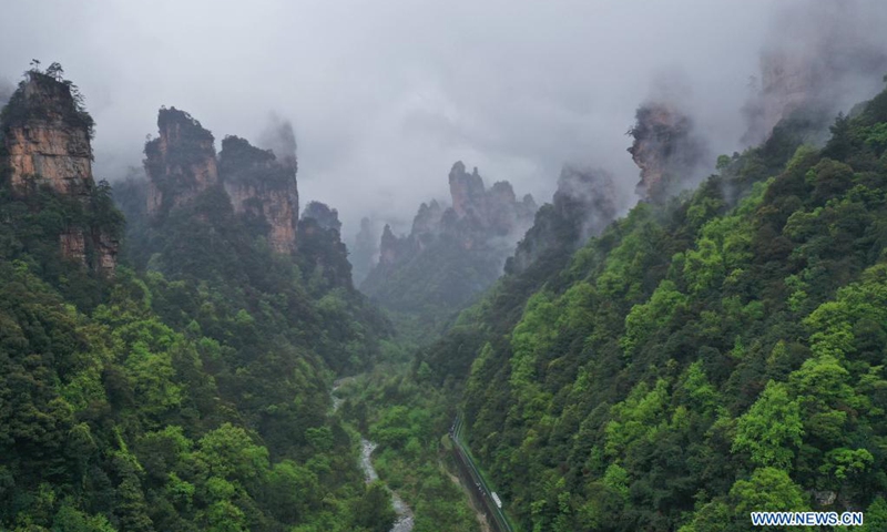 Aerial photo taken on April 7, 2021 shows the mountains shrouded by cloud and mist in Zhangjiajie National Forest Park, central China's Hunan Province.(Photo: Xinhua)