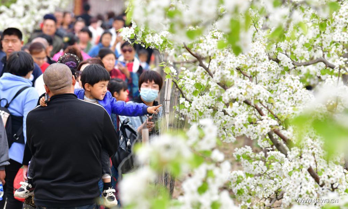Tourists stroll among the blooming pear trees during a pear blossom festival in Qian'an City, north China's Hebei Province, April 11, 2021. A pear blossom festival kicked off here on Sunday. (Xinhua/Li He)