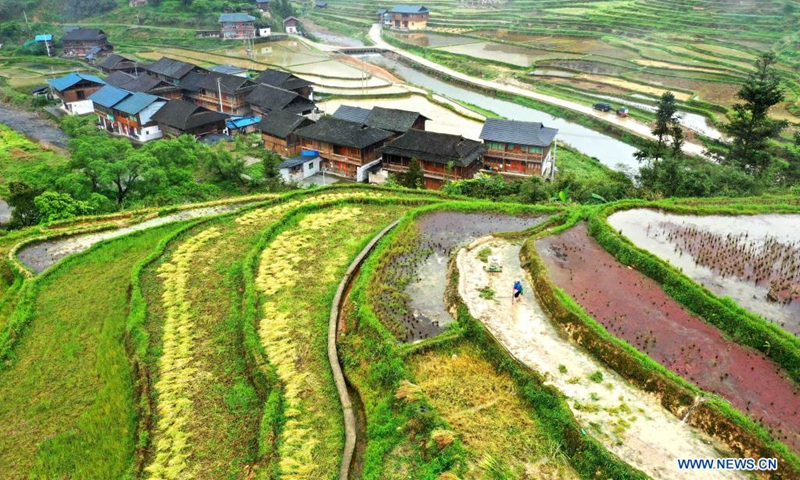 Aerial photo shows a farmer working in the field in Rongjiang County, Qiandongnan Miao and Dong Autonomous Prefecture, southwest China's Guizhou Province, April 11, 2021.(Photo: Xinhua)