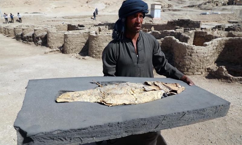 An excavation worker carries a fish unearthed from the archeological site of the Lost Gold City in Luxor, Egypt, April 10, 2021. An Egyptian archeological mission announced on Thursday the discovery of a 3,000-year-old Lost Gold City (LGC) in Egypt's monument-rich city of Luxor.(Photo: Xinhua)