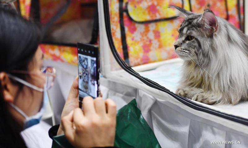 A visitor takes a photo for a cat during a pet expo held from April 9 to April 11 in Zhengzhou, central China's Henan Province, April 10, 2021.(Photo: Xinhua)