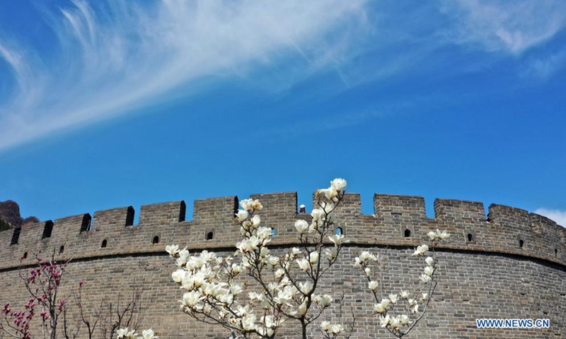 Photo taken on April 4, 2021 shows the scenery of the Great Wall at Huangya Pass in Tianjin, north China. In recent years, more and more Chinese people living in cities prefer to go to the countryside for leisure and relaxation, which facilitates the development of rural tourism. Huangyaguan village, at the foot of the Great Wall of Huangya Pass in Tianjin, has benefited from this trend. Photo: Xinhua