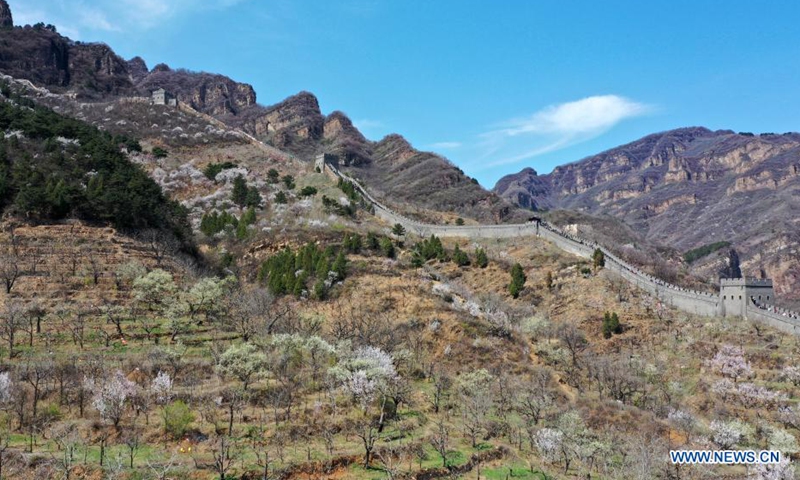Photo taken on April 4, 2021 shows the scenery of the Great Wall at Huangya Pass in Tianjin, north China. In recent years, more and more Chinese people living in cities prefer to go to the countryside for leisure and relaxation, which facilitates the development of rural tourism. Huangyaguan village, at the foot of the Great Wall of Huangya Pass in Tianjin, has benefited from this trend.  Photo: Xinhua