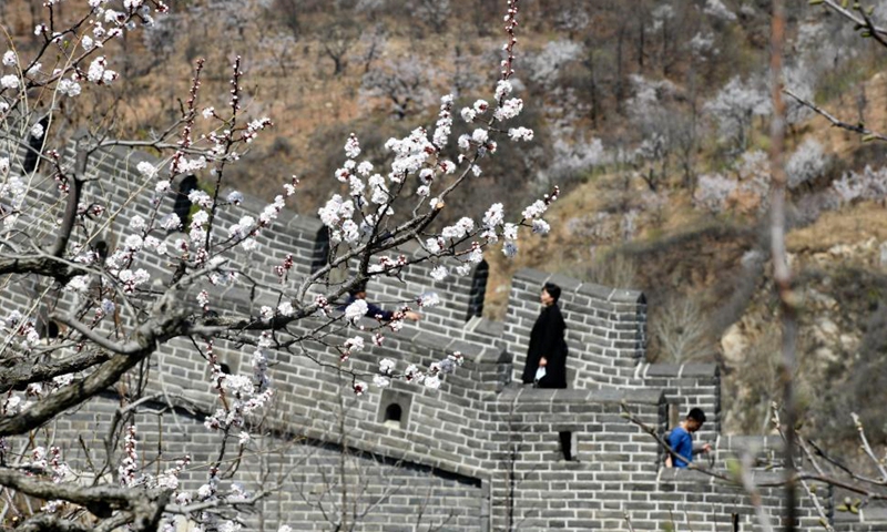 Photo taken on April 4, 2021 shows the scenery of the Great Wall at Huangya Pass in Tianjin, north China. In recent years, more and more Chinese people living in cities prefer to go to the countryside for leisure and relaxation, which facilitates the development of rural tourism. Huangyaguan village, at the foot of the Great Wall of Huangya Pass in Tianjin, has benefited from this trend.   Photo: Xinhua