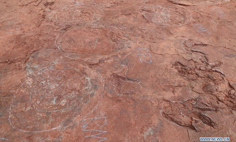 Photo taken on April 6, 2021 shows newly-found dinosaur footprints at an excavation site in Shanghang County, southeast China's Fujian Province. A team of Chinese researchers have found a massive concentration of dinosaur footprints, scientifically termed as dinosaur dance floor, in Shanghang County of Fujian Province. The footprints were first spotted last November when over 240 fossilized dinosaur footprints were identified, and another 364 dinosaur tracks were found in early April.(Photo: Xinhua)