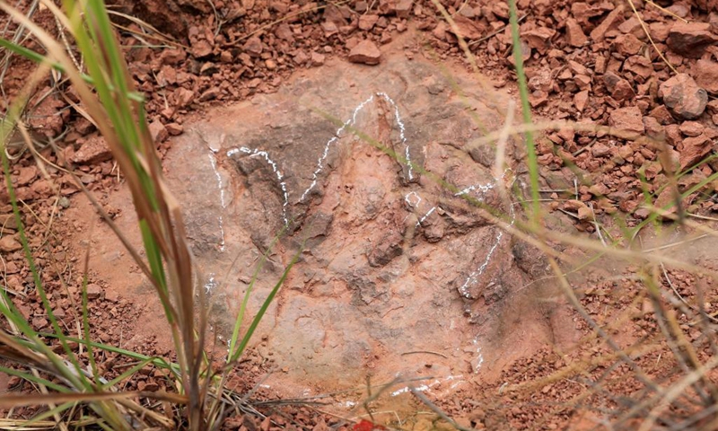 Photo taken on April 6, 2021 shows a newly-found dinosaur footprint at an excavation site in Shanghang County, southeast China's Fujian Province. A team of Chinese researchers have found a massive concentration of dinosaur footprints, scientifically termed as dinosaur dance floor, in Shanghang County of Fujian Province. The footprints were first spotted last November when over 240 fossilized dinosaur footprints were identified, and another 364 dinosaur tracks were found in early April.(Photo: Xinhua)