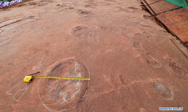 Photo taken on April 6, 2021 shows newly-found imprints left by large sauropods at an excavation site in Shanghang County, southeast China's Fujian Province. A team of Chinese researchers have found a massive concentration of dinosaur footprints, scientifically termed as dinosaur dance floor, in Shanghang County of Fujian Province. The footprints were first spotted last November when over 240 fossilized dinosaur footprints were identified, and another 364 dinosaur tracks were found in early April.(Photo: Xinhua)