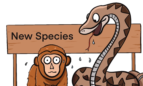 Illustration: Liu Xidan/GT 