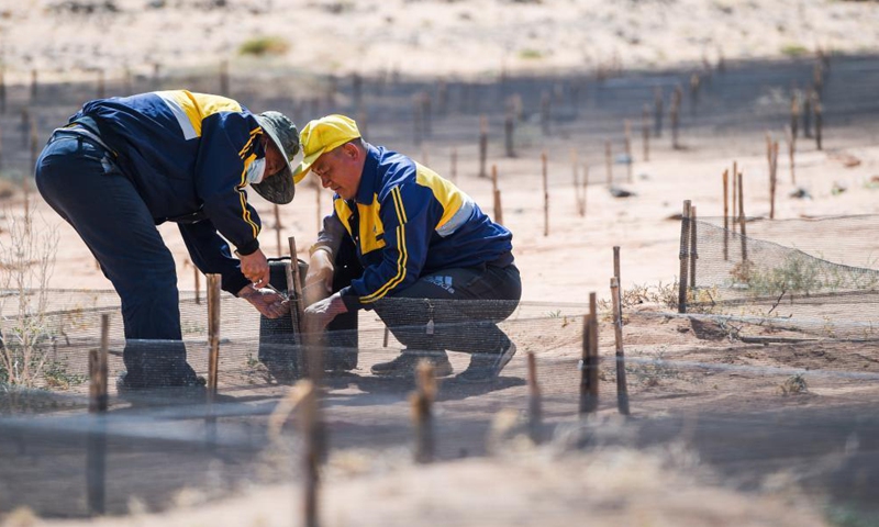 Workers make grids to contain the moving sand dunes along Linhe-Ceke railway in north China's Inner Mongolia Autonomous Region, April 14, 2021. With a total length of 768 kilometers, the Linhe-Ceke railway is one of the important junctions connecting Mongolia and China.