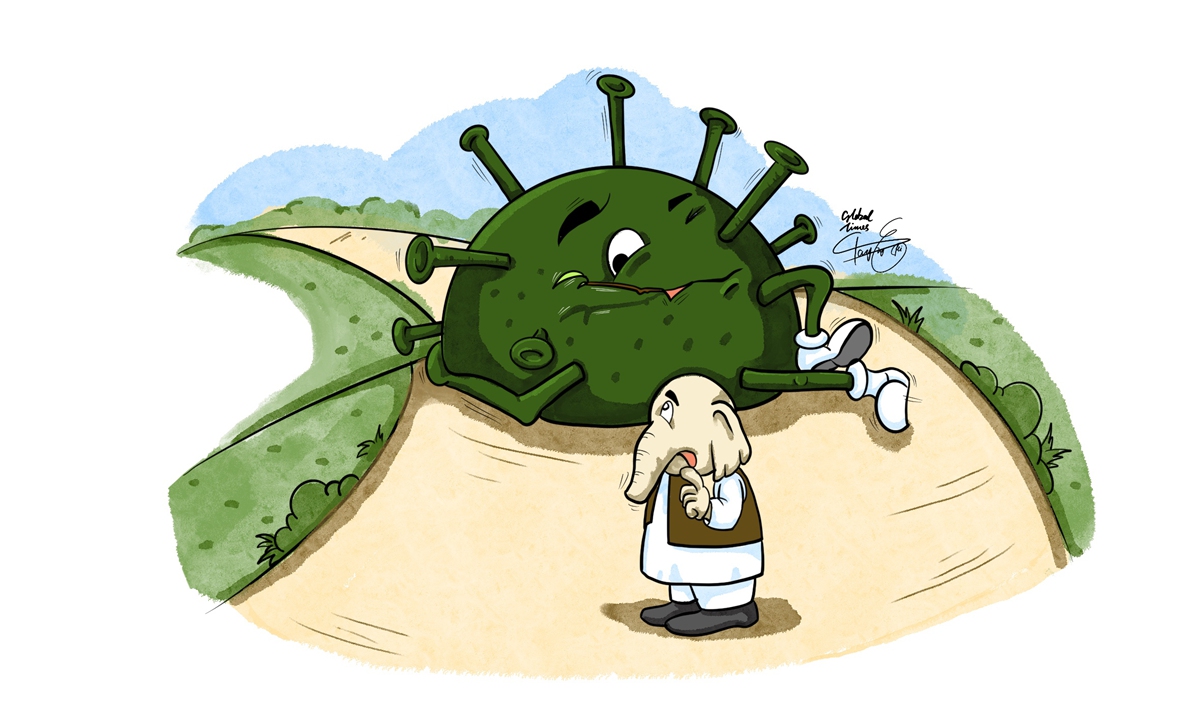 Illustration: Tang Tengfei/GT