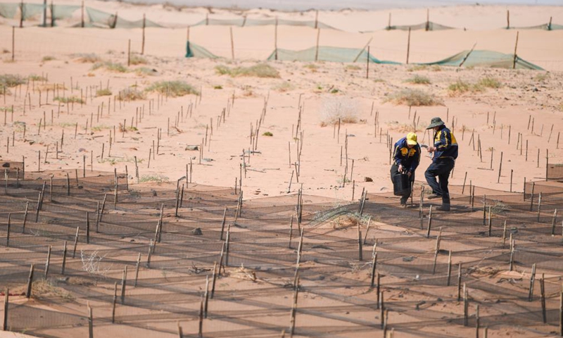 Workers make grids to contain the moving sand dunes along Linhe-Ceke railway in north China's Inner Mongolia Autonomous Region, April 14, 2021. With a total length of 768 kilometers, the Linhe-Ceke railway is one of the important junctions connecting Mongolia and China. 
