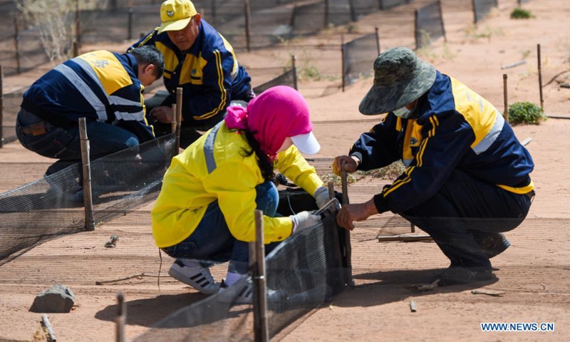 Workers make grids to contain the moving sand dunes along Linhe-Ceke railway in north China's Inner Mongolia Autonomous Region, April 14, 2021. With a total length of 768 kilometers, the Linhe-Ceke railway is one of the important junctions connecting Mongolia and China. 