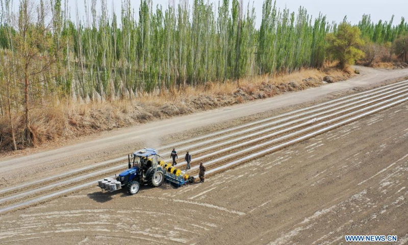 Aerial photo taken on April 13, 2021 shows a film mulching sower at work in a cotton field in Tungqeka Village of Xingping Township, Yuli County, Bayingolin Mongolian Autonomous Prefecture, northwest China's Xinjiang Uygur Autonomous Region.Photo:Xinhua