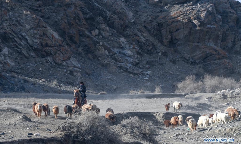 A herdsman drives livestock on the way to spring pastures in Fuhai County of Altay, northwest China's Xinjiang Uygur Autonomous Region, April 17, 2021. As spring comes, herdsmen here are busy with transferring livestock to spring pastures. (Photo: Xinhua)