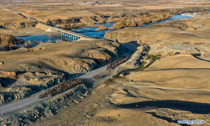 Aerial photo taken on April 17, 2021 shows herdsmen driving livestock across Ertix River on the way to spring pastures in Fuhai County of Altay, northwest China's Xinjiang Uygur Autonomous Region. As spring comes, herdsmen here are busy with transferring livestock to spring pastures.(Photo: Xinhua)