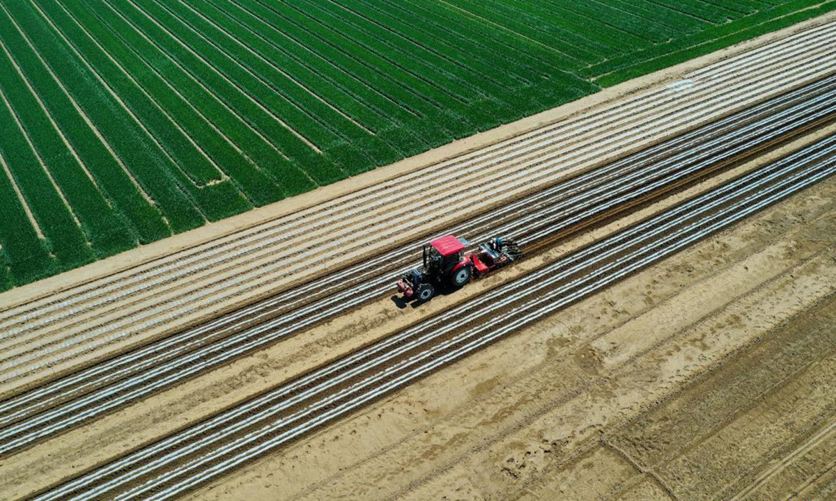 Aerial photo shows farmers sowing at a peanut farm in Yangjiatuo Village of Luanzhou City in north China's Hebei Province, April 18, 2021. Spring sowing is in progress for the 13,000 hectares of peanut farms in Luanzhou City. (Xinhua/Mu Yu)