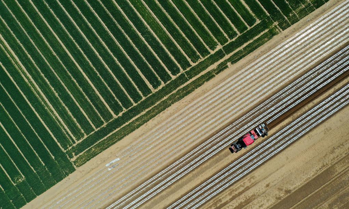 Aerial photo shows farmers sowing at a peanut farm in Yangjiatuo Village of Luanzhou City in north China's Hebei Province, April 18, 2021. Spring sowing is in progress for the 13,000 hectares of peanut farms in Luanzhou City. (Xinhua/Mu Yu)