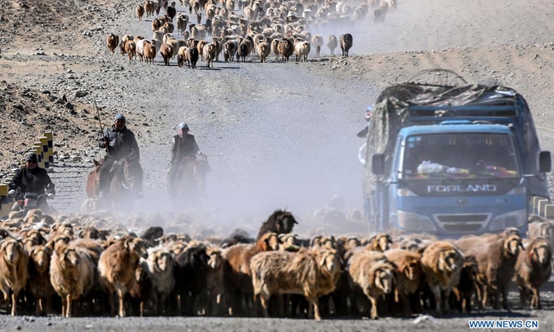 Herdsmen drive livestock on the way to spring pastures in Fuhai County of Altay, northwest China's Xinjiang Uygur Autonomous Region, April 16, 2021. As spring comes, herdsmen here are busy with transferring livestock to spring pastures. (Photo: Xinhua)