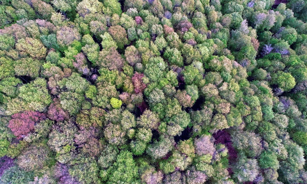 Scientists find only 3% of land areas unblemished by humans