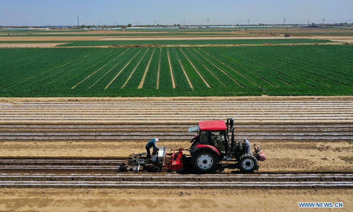 Farmers sow at a peanut farm in Yangjiatuo Village of Luanzhou City in north China's Hebei Province, April 18, 2021. Spring sowing is in progress for the 13,000 hectares of peanut farms in Luanzhou City. (Xinhua/Mu Yu)