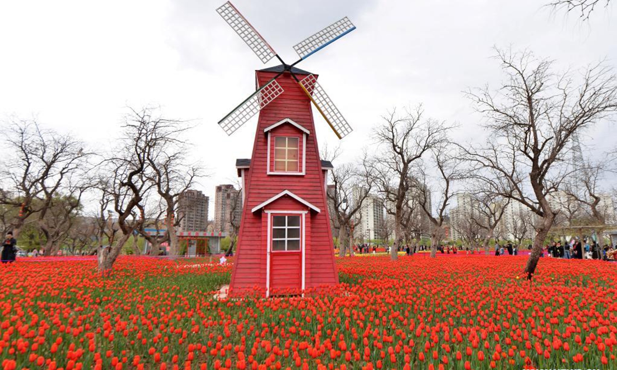 People enjoy blooming tulips at Liujiaxia Town of Yongjing County, northwest China's Gansu Province, April 19, 2021. (Photo by Shi Youdong/Xinhua)