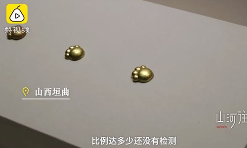 Photo: Screenshot of online video