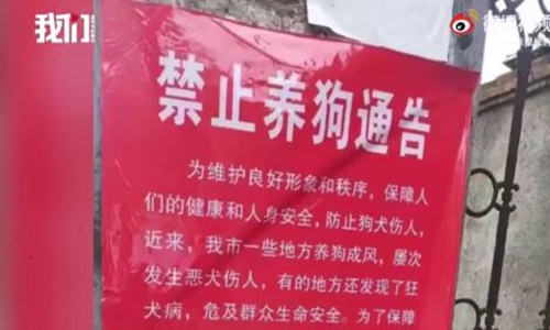 Photo: Screenshot of online video